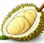 durian nyam nyam